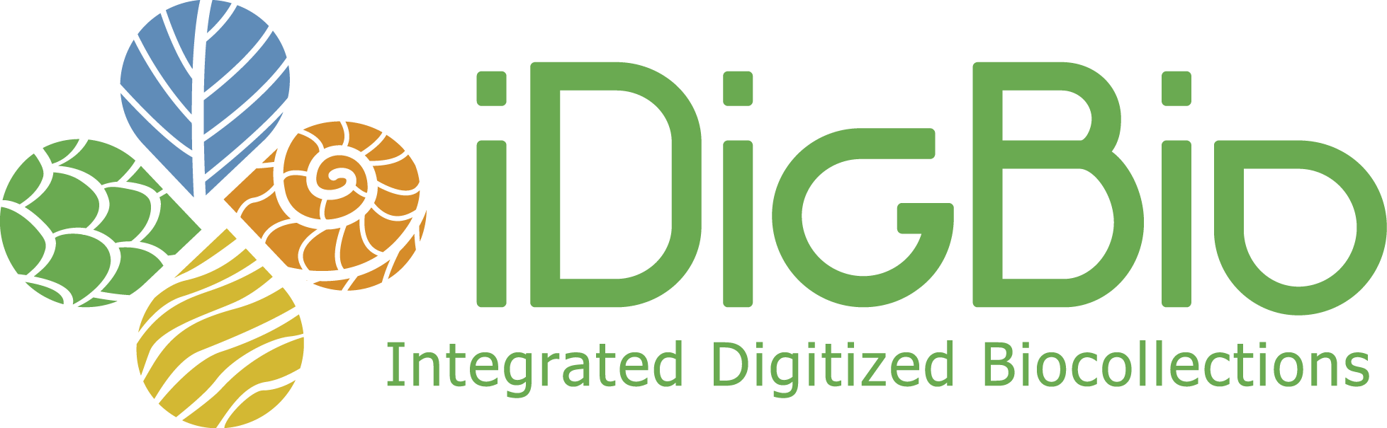 iDigBio